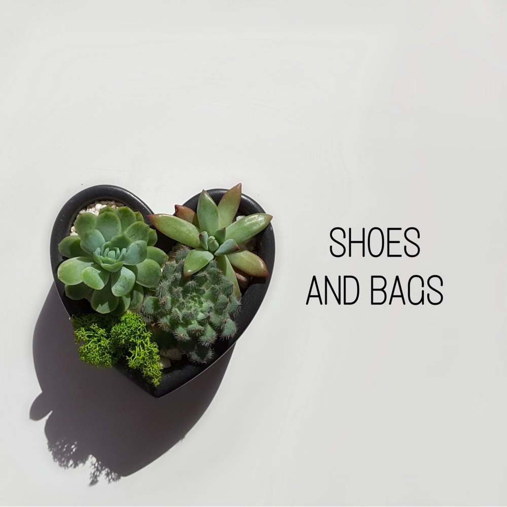 Shoes and Bags